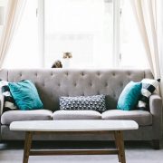 Couch for Landlord newsletter