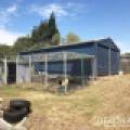 38 Bailey Street, Belmont, VIC 3216